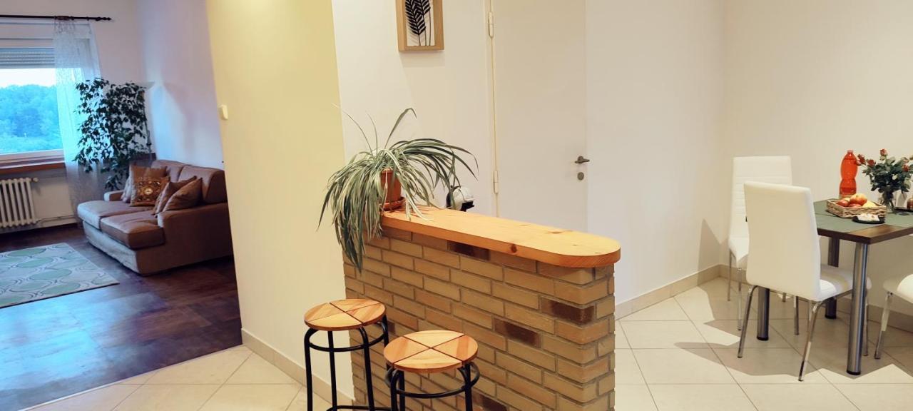Danube Riverside Apartment With Quite Workplace Μπρατισλάβα Εξωτερικό φωτογραφία