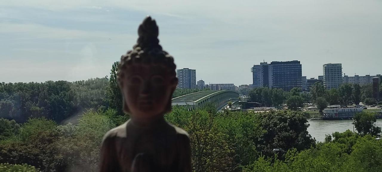 Danube Riverside Apartment With Quite Workplace Μπρατισλάβα Εξωτερικό φωτογραφία